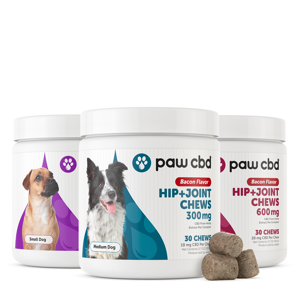 Cbd chews top for dogs arthritis