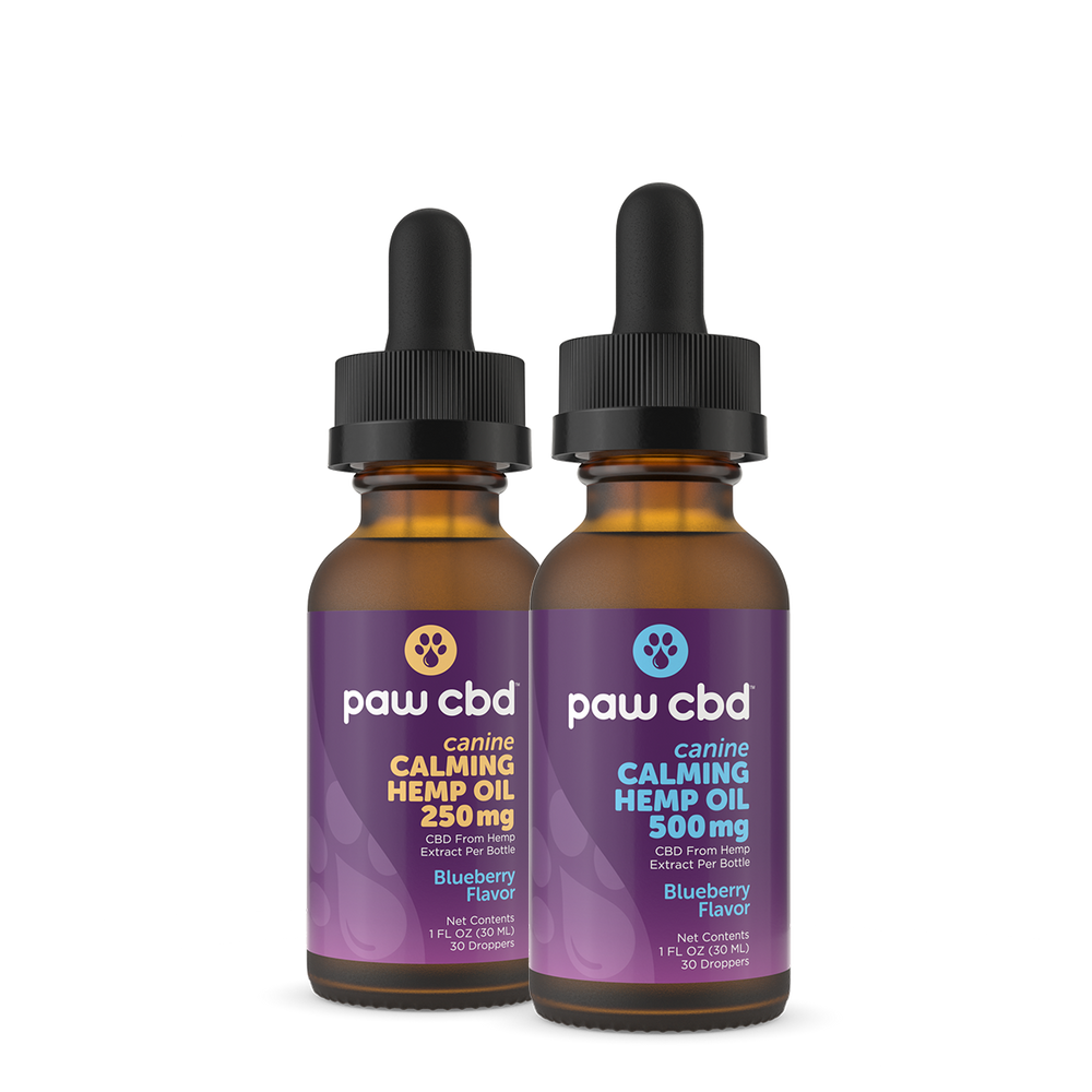 Best calming cbd oil for dogs deals