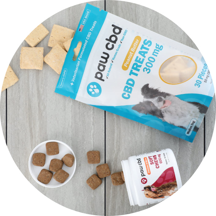 CBD Products for Dogs - Paw CBD